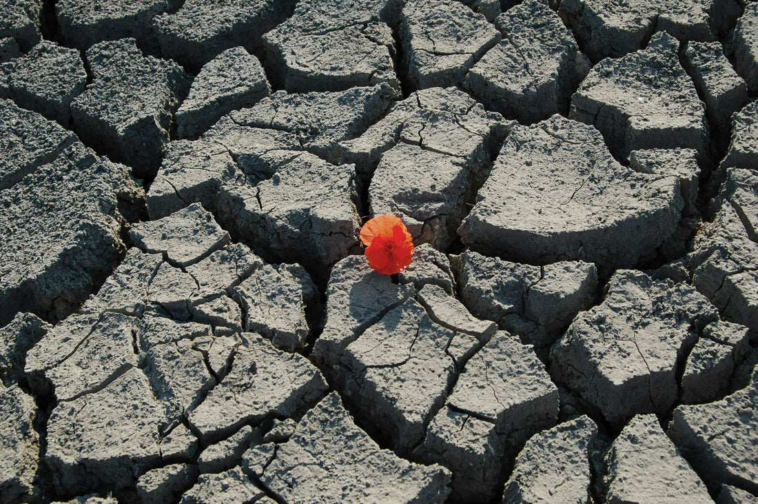 How to Recession-Proof Your Business with an Operations Manual