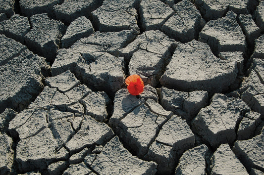 How to Recession-Proof Your Business with an Operations Manual